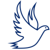 White Dove Guesthouse